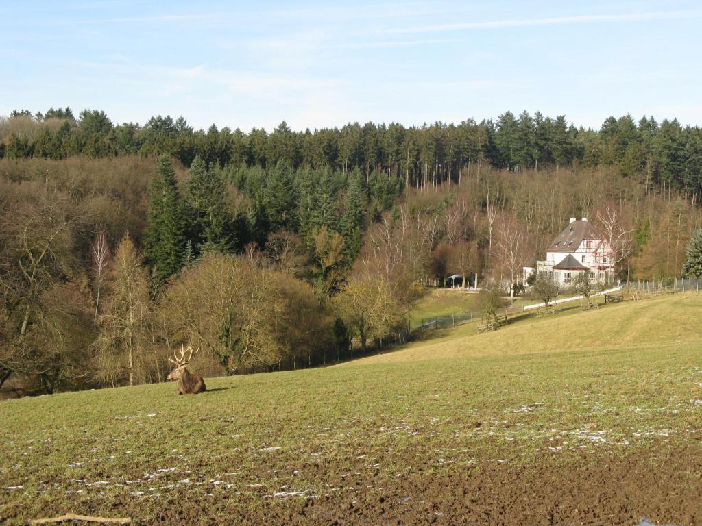 Waldhotel Forsthaus Remstecken โคเบลนซ์ ภายนอก รูปภาพ